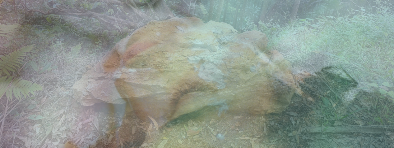 A dreamy, layered montage image of a photograph of a bush setting with a rock surrounded by trees and a photograph of the head and torso of a person resting.