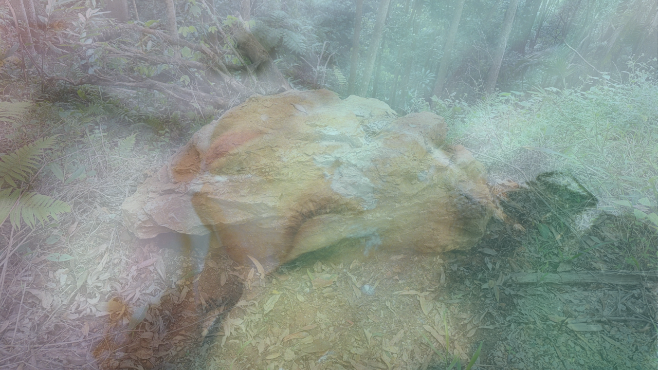 A dreamy, layered montage image of a photograph of a bush setting with a rock surrounded by trees and a photograph of the head and torso of a person resting.