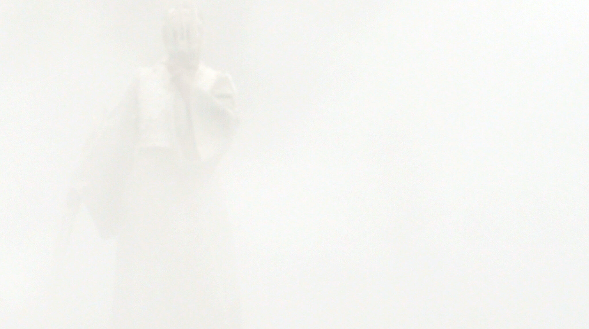  An otherworldly spectral entity is partially visible - hovering between a liminal threshold of fine particle mist. There are minimal details in this shrouded light grey realm. She wears an assemblage of grey and white regalia and her arm is raised to hold in place a bone relic mask which completely covers the head.