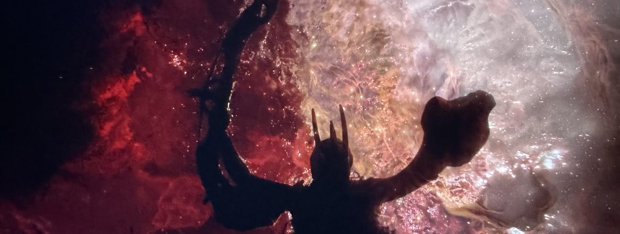 A spectral entity, slipstreaming through the multiverse.