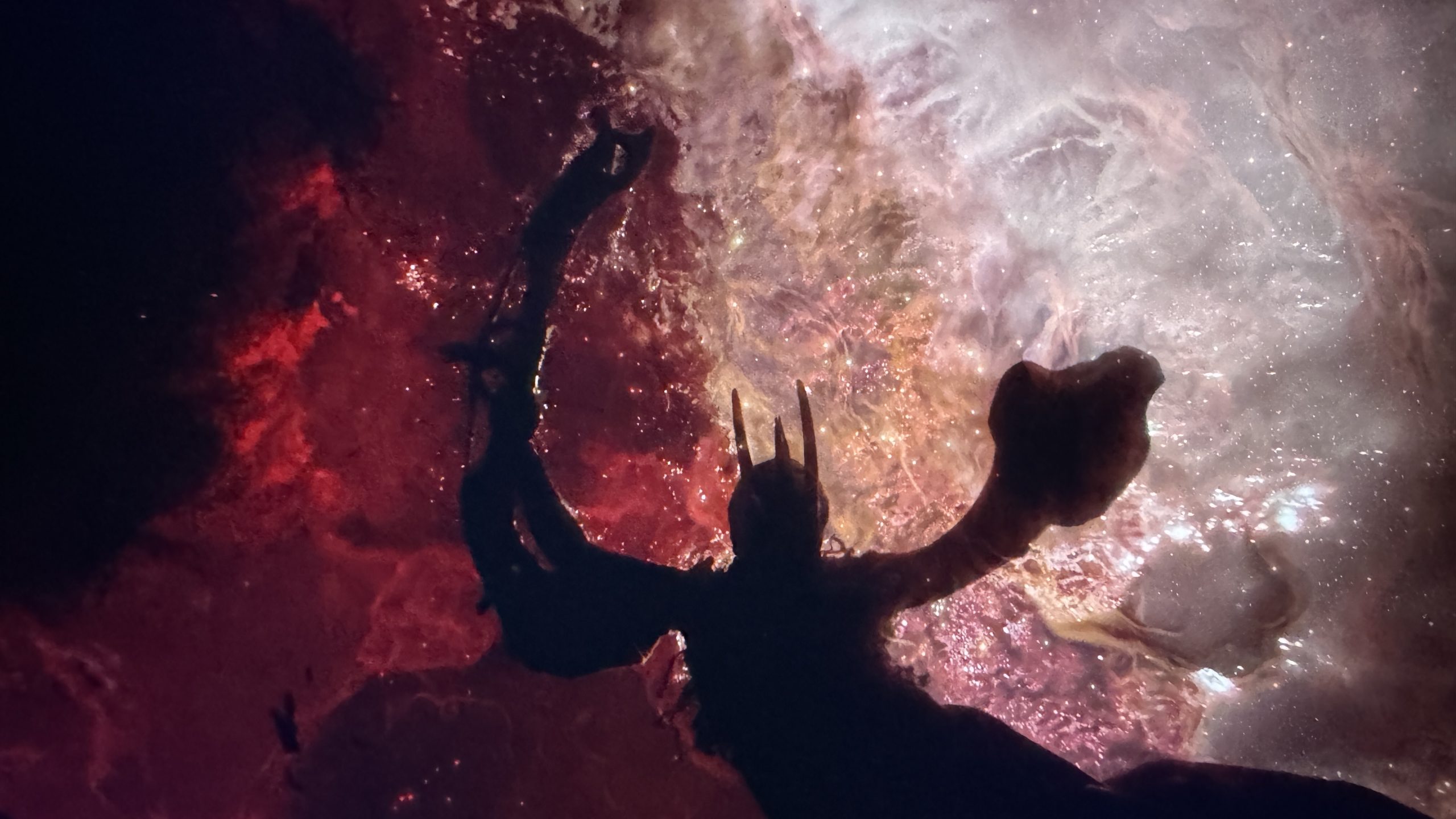 A spectral entity, slipstreaming through the multiverse.