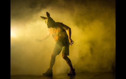 Protected: LYON DANCE BIENNALE 2025