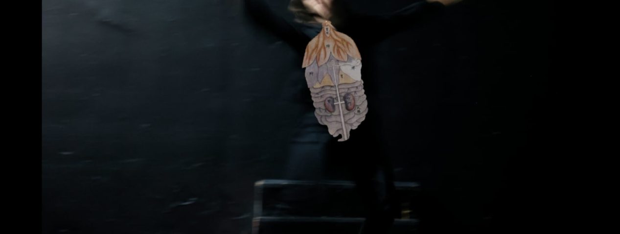 Photo of a person dancing with an anatomical illustration of a human's internal organs attached to the person's clothed torso.