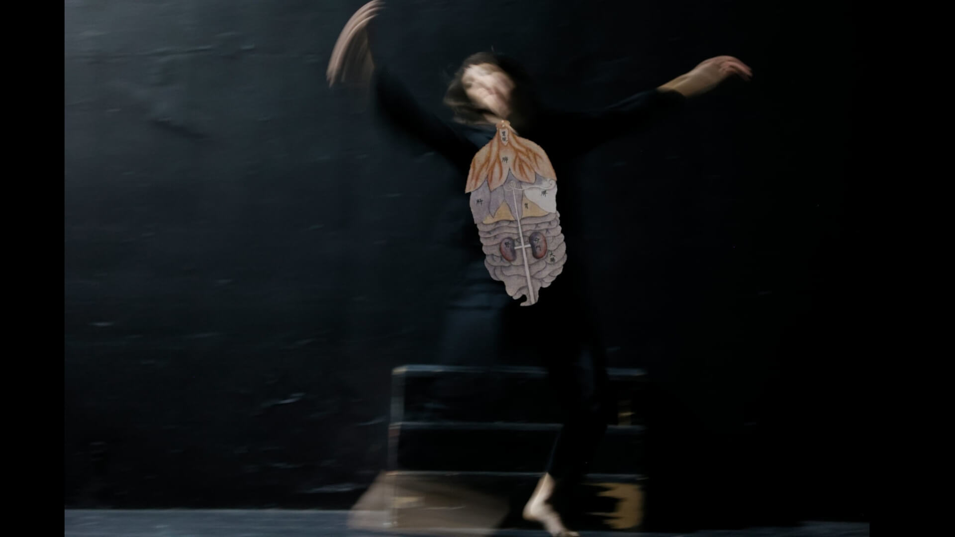 Photo of a person dancing with an anatomical illustration of a human's internal organs attached to the person's clothed torso.