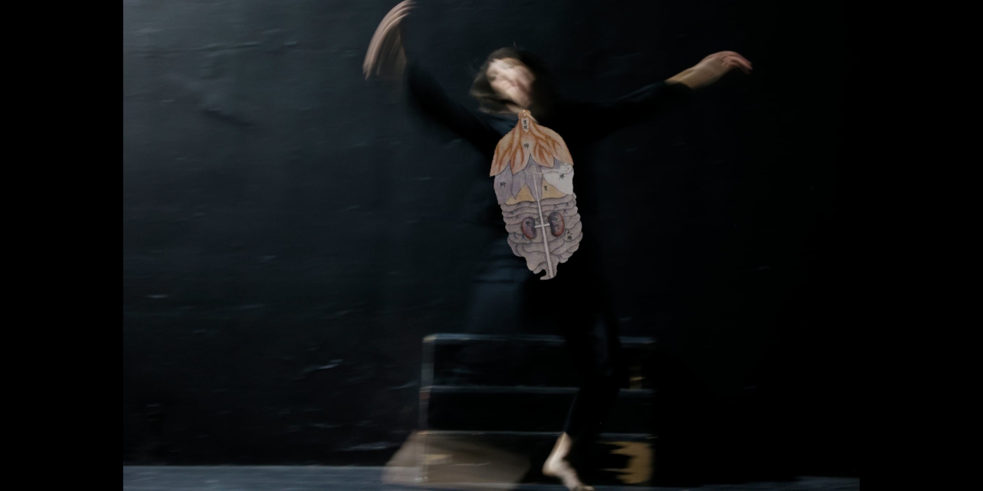 Photo of a person dancing with an anatomical illustration of a human's internal organs attached to the person's clothed torso.