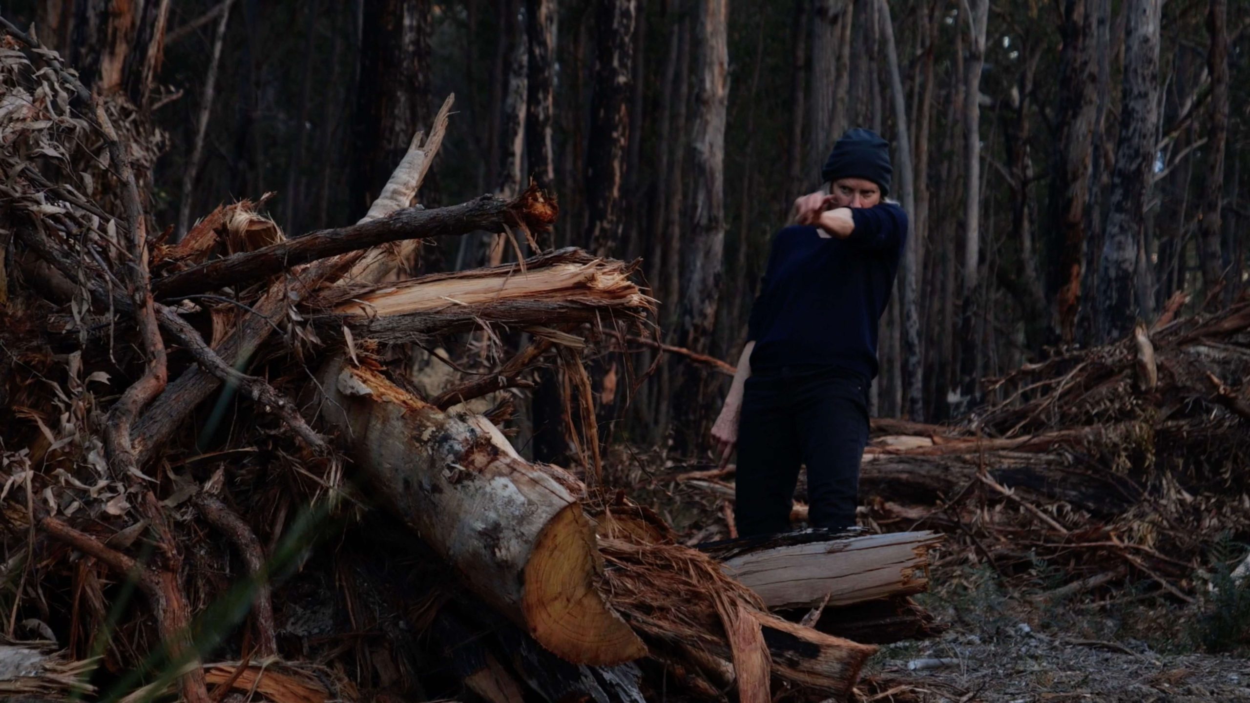 A video still with an image of a person standing amidst the destruction of a recently logged forrest in East Gippsland.